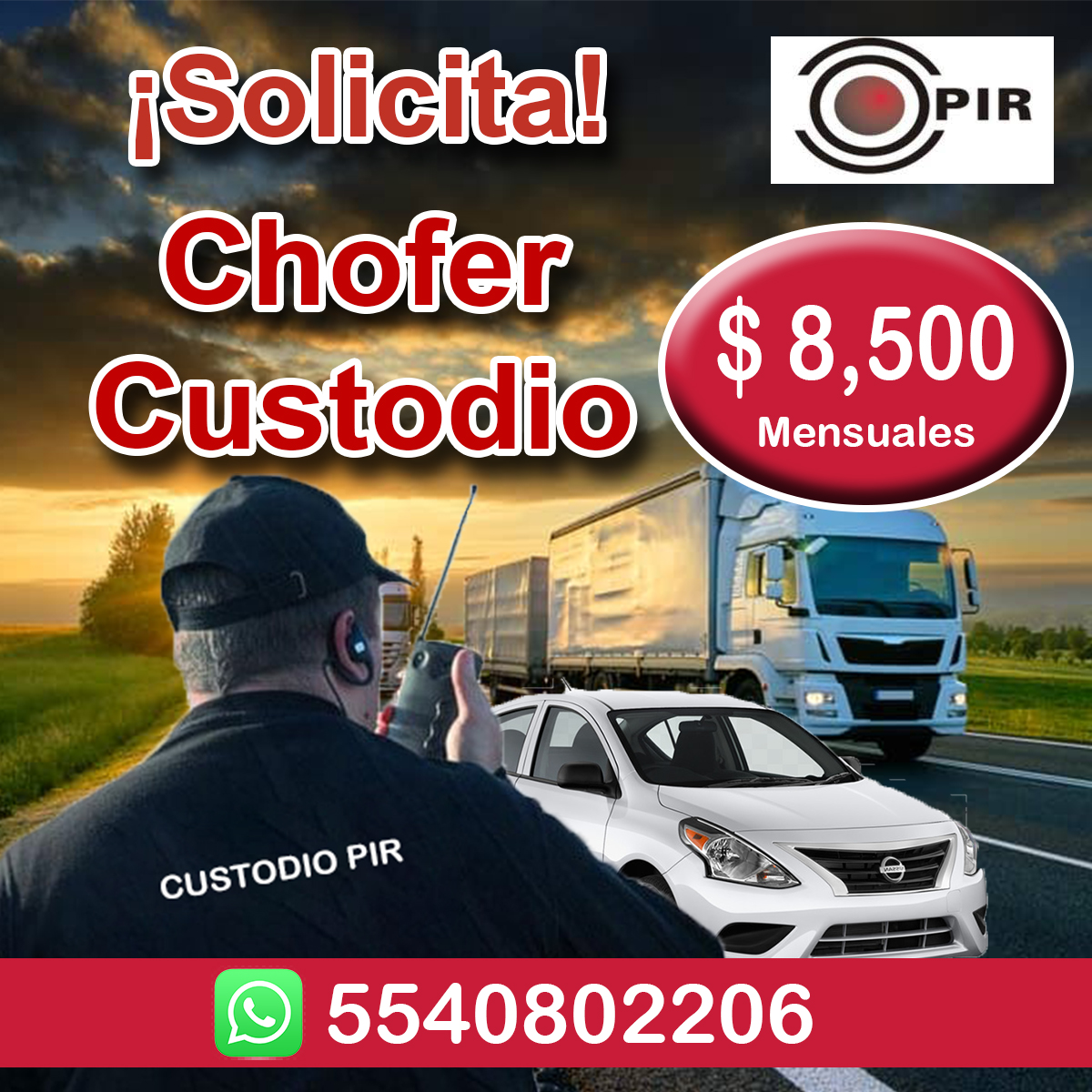 Chofer Custodio