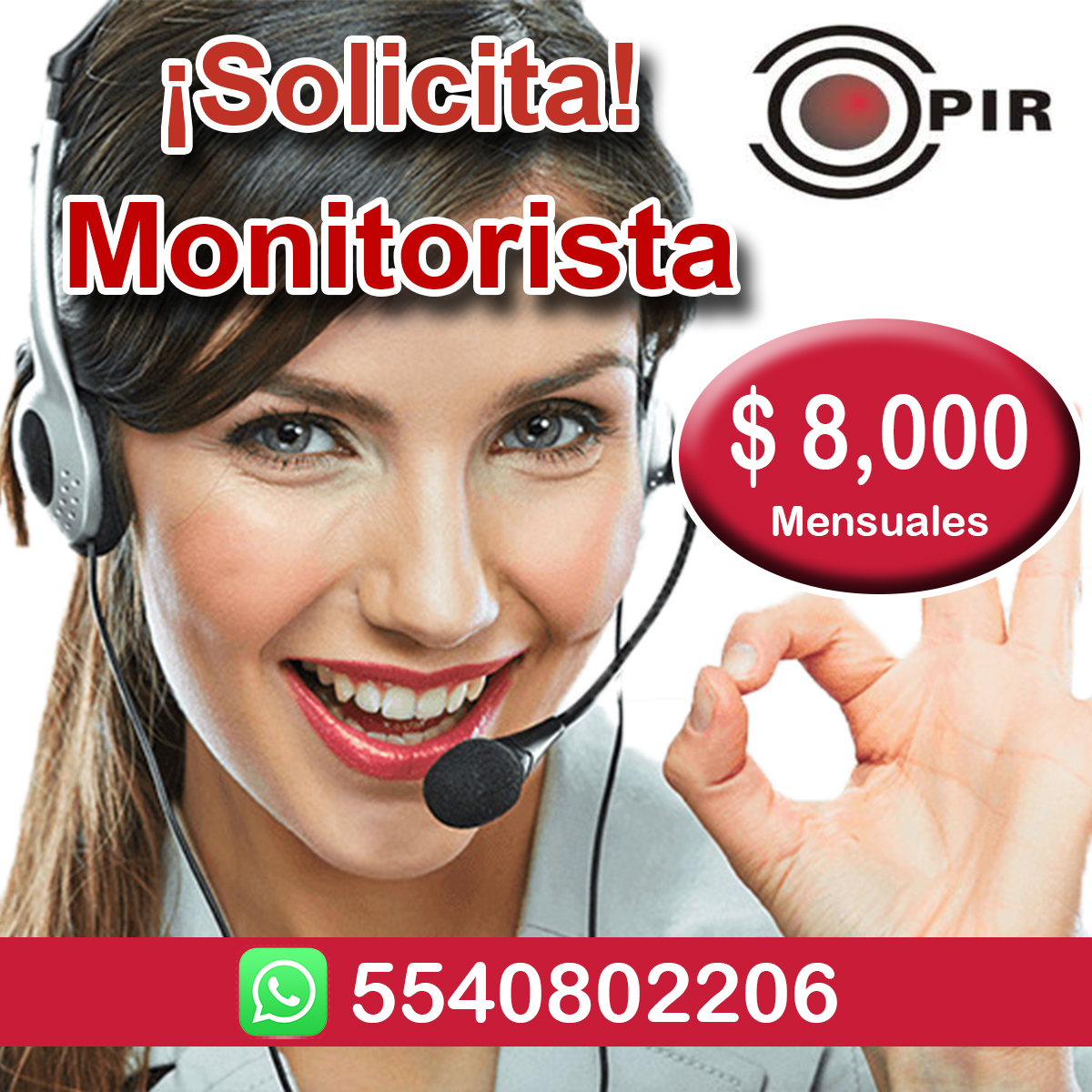 Monitorista